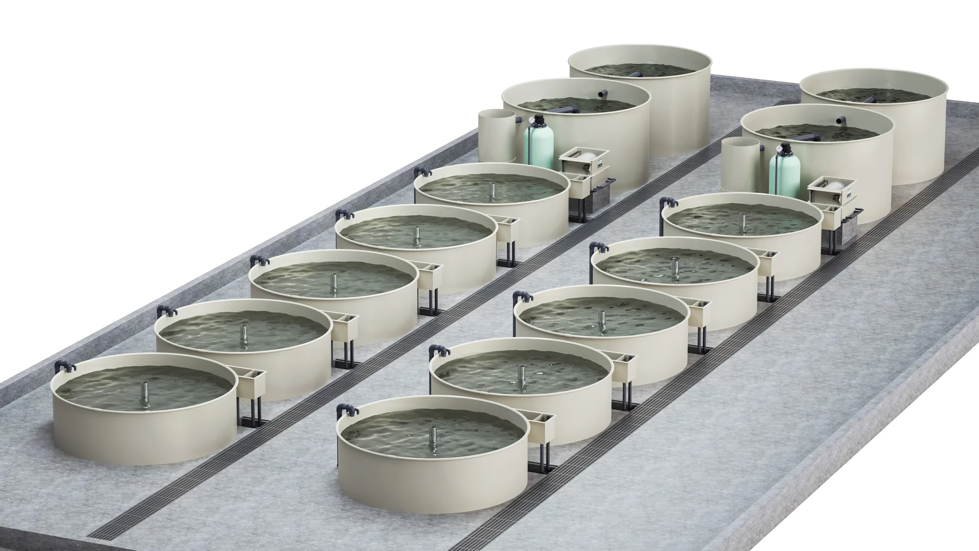Industrial recirculating aquaculture system installation layout
