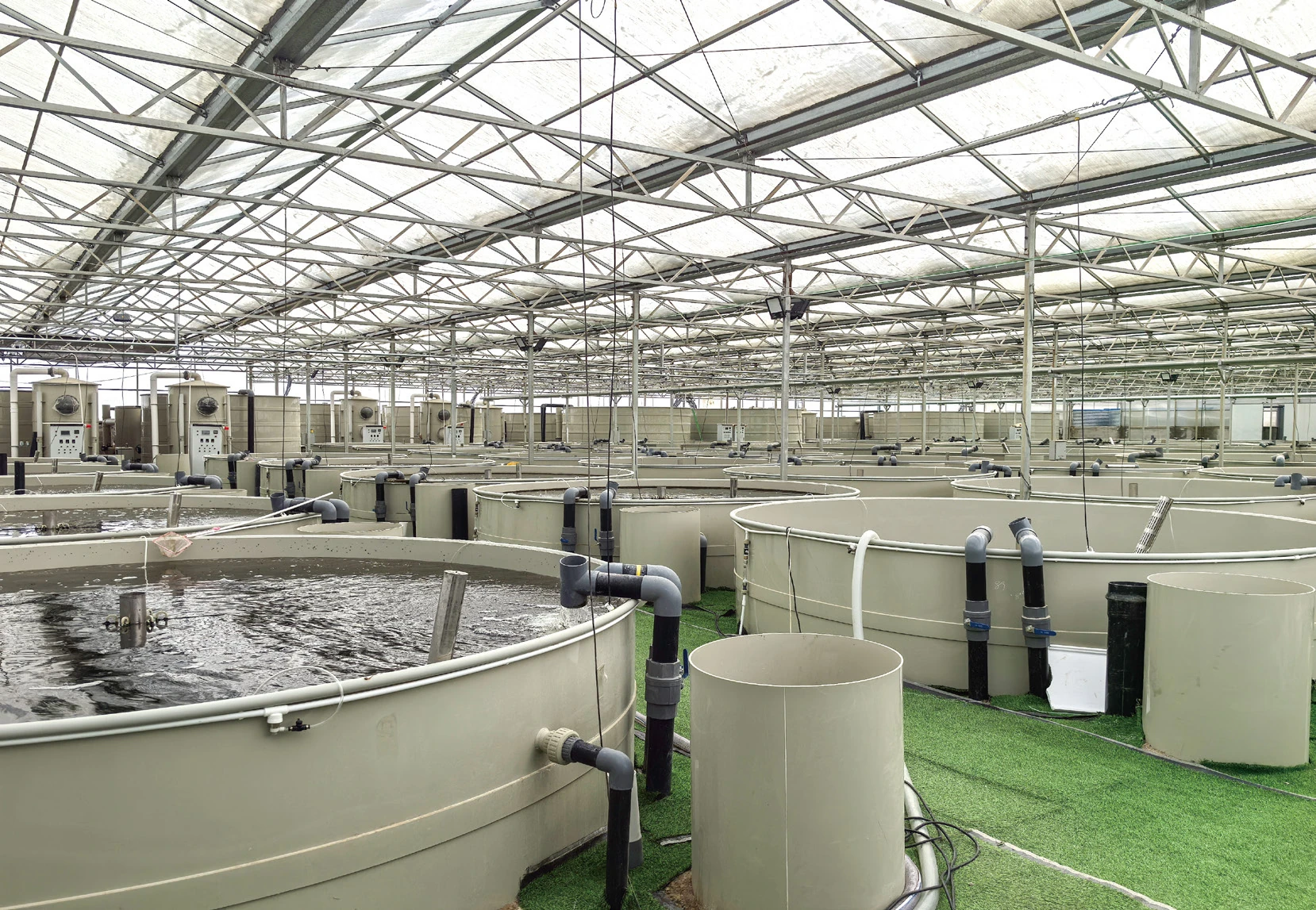 Commercial RAS facility with multiple circular production tanks and centralized pipework