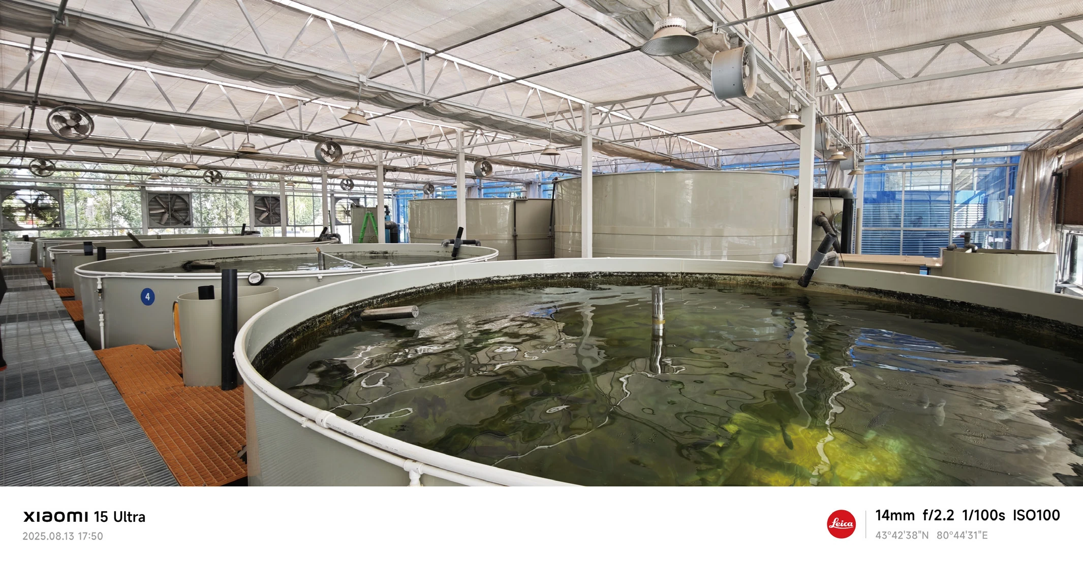 Delivered tilapia RAS farm facility in Cote d'Ivoire with circular culture tanks